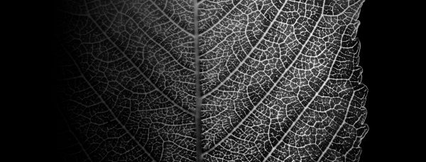 Micro surface & Micro Details: The Great Connection Between the Surface and Excellent Clinical Cases